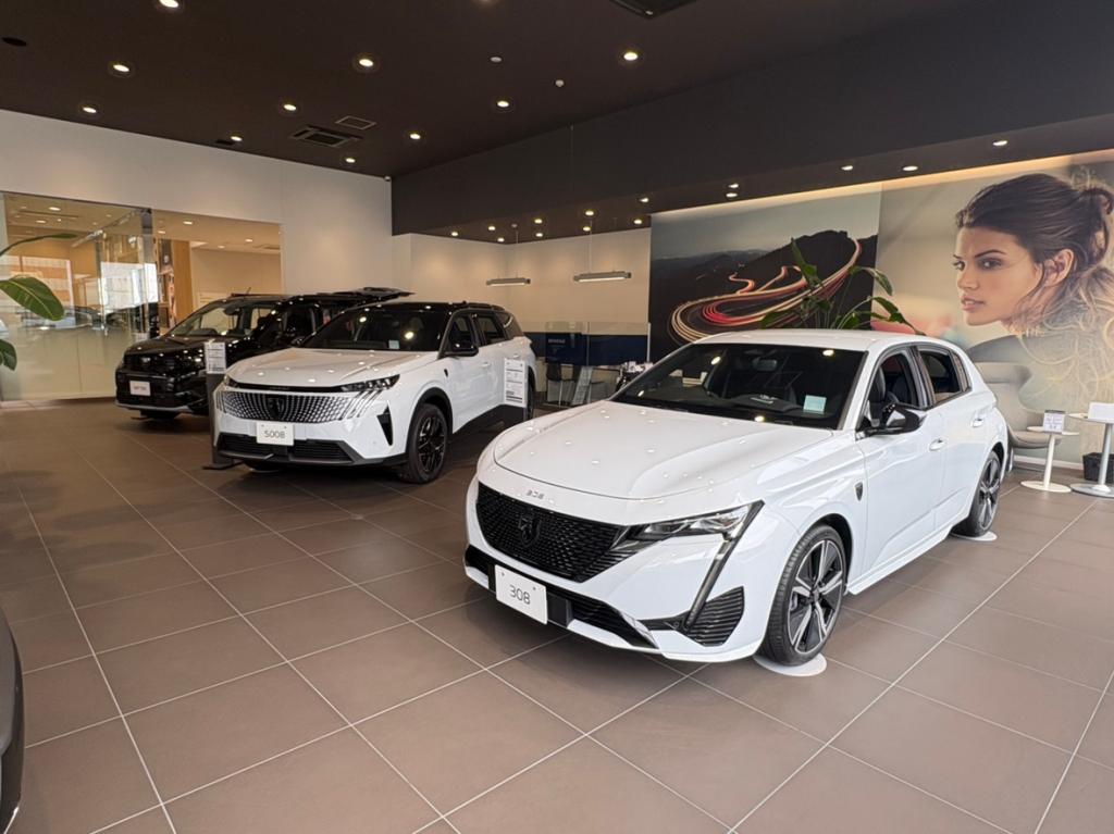 本日も営業しております🚗