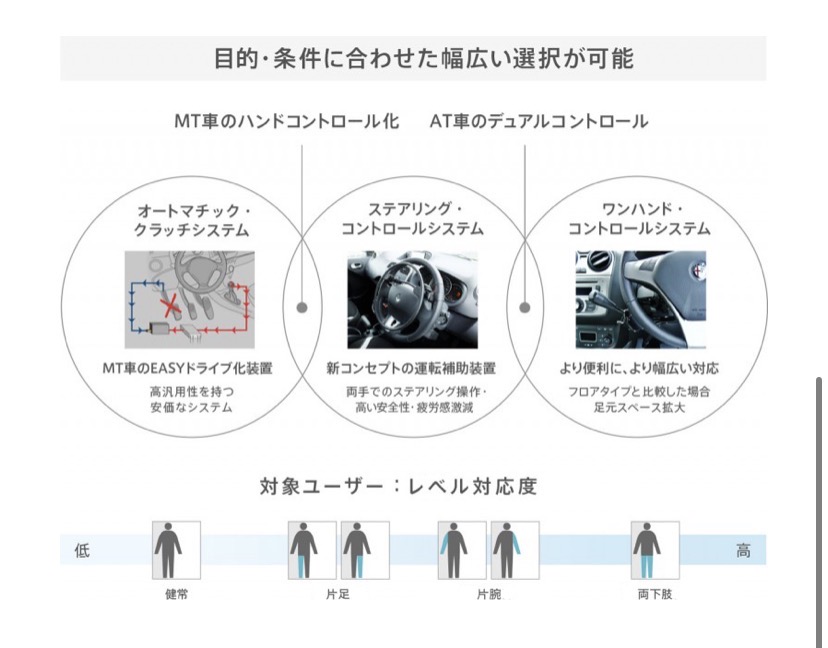 Guidosimplex’s Concept