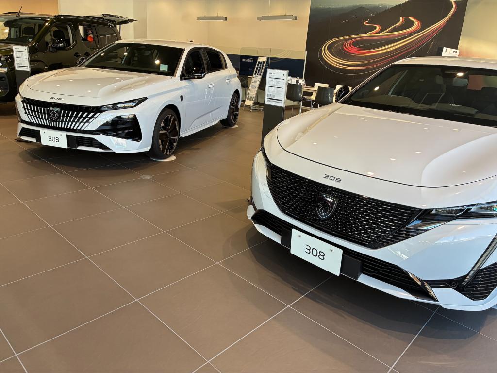 NEW308　エクステリア