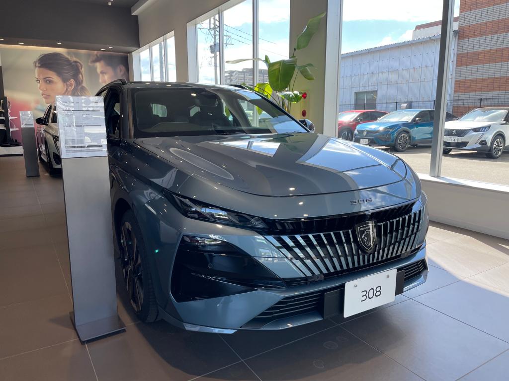 308 SW のご紹介🦁